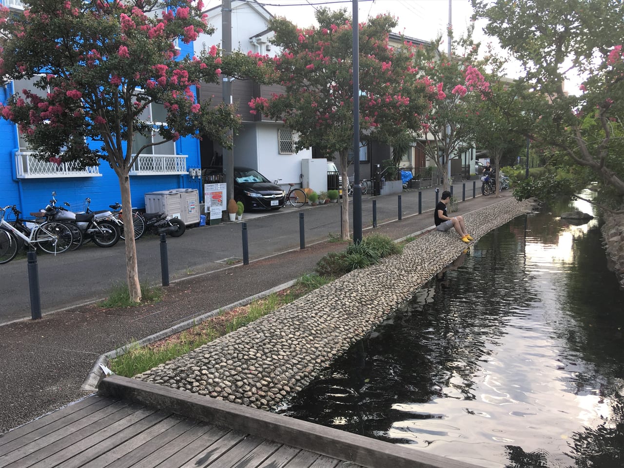 江川せせらぎ遊歩道②