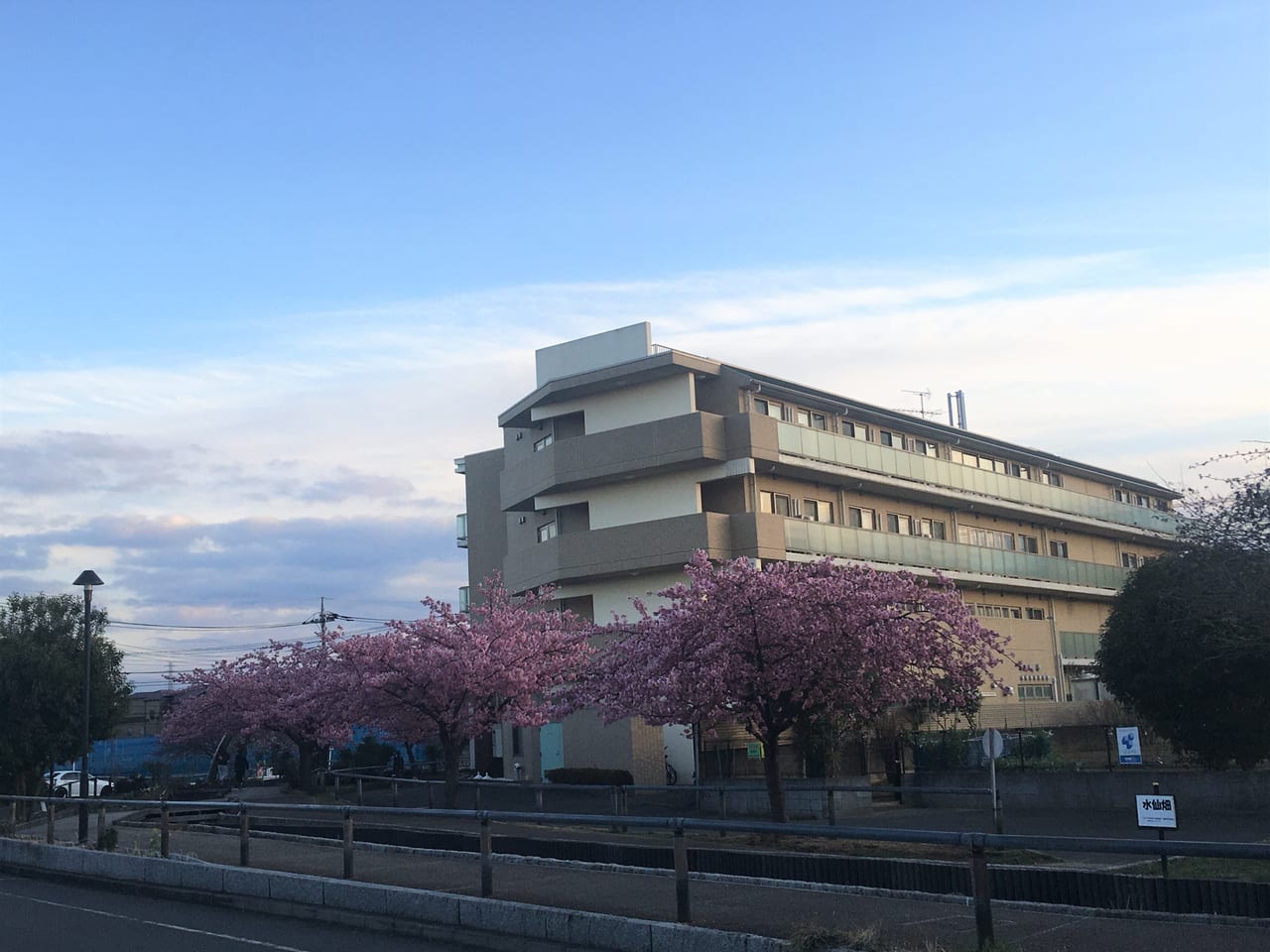 江川せせらぎ遊歩道③