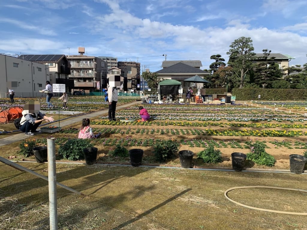 かしま園