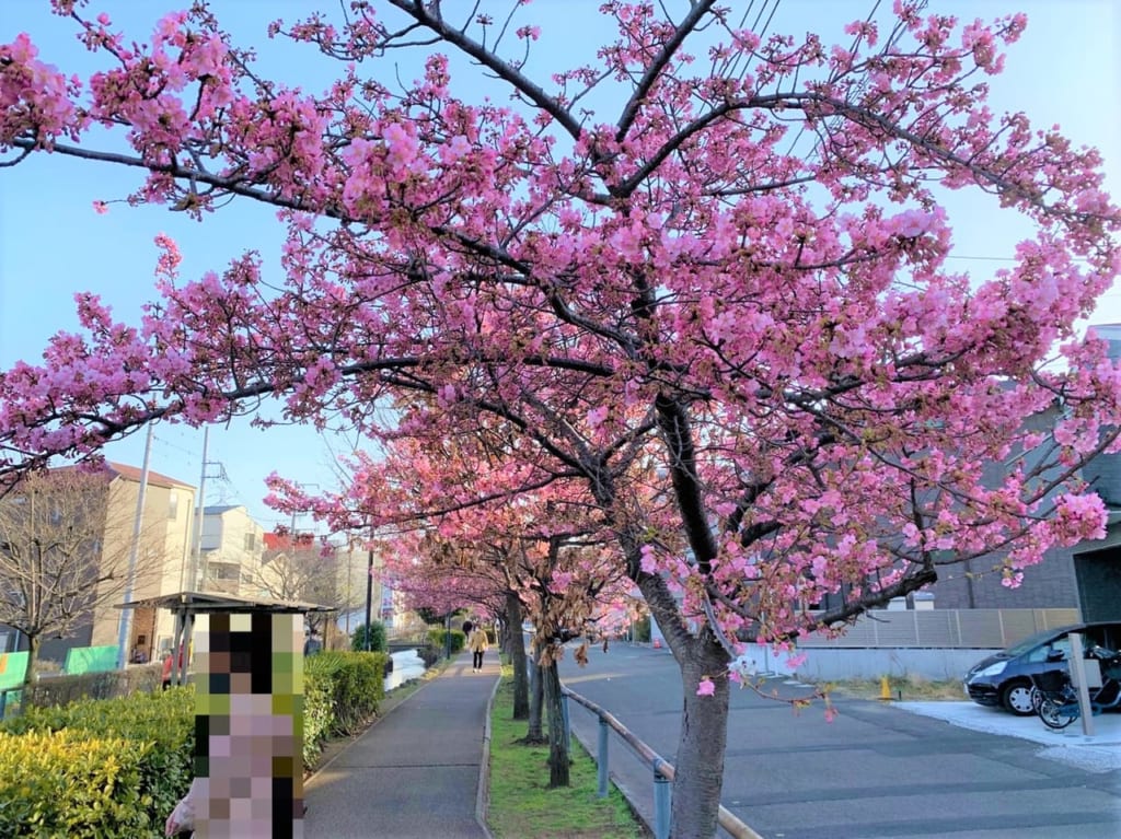 江川せせらぎ遊歩道