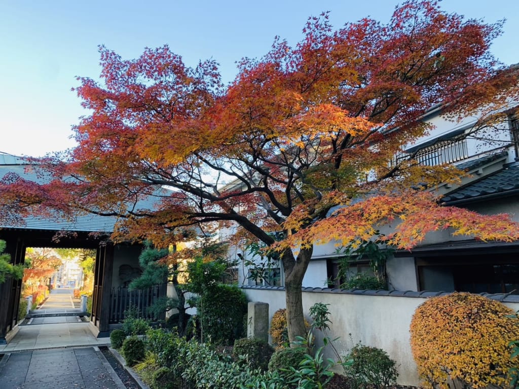 西明寺