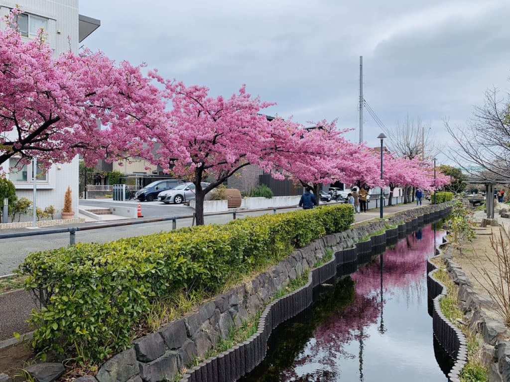 江川せせらぎ遊歩道