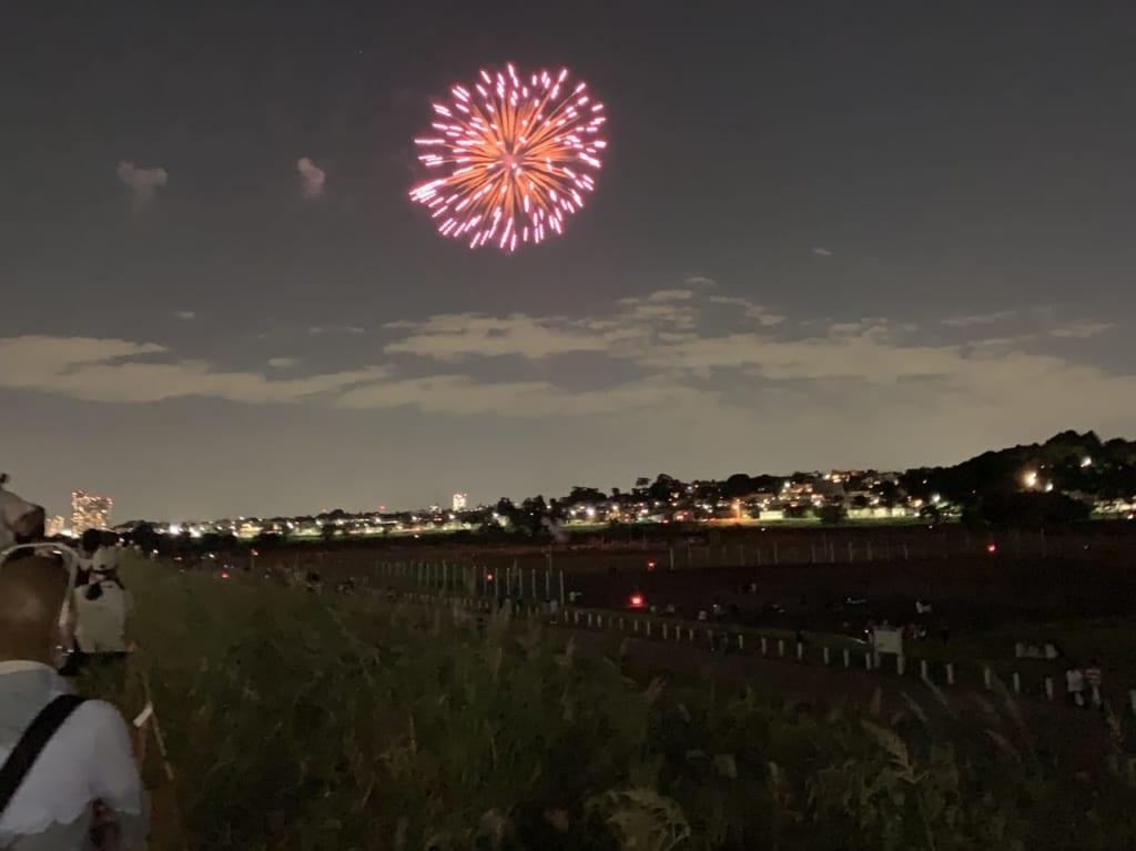 丸子の渡し花火